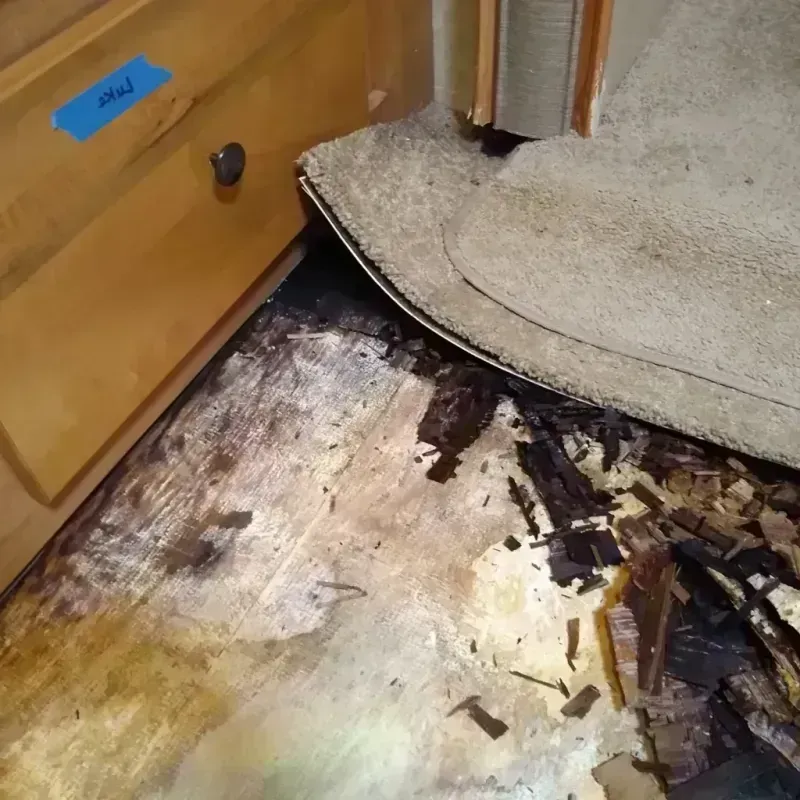 Wood Floor Water Damage in Fairfield, AL